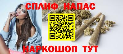 стаф Донской