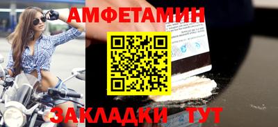 стаф Донской