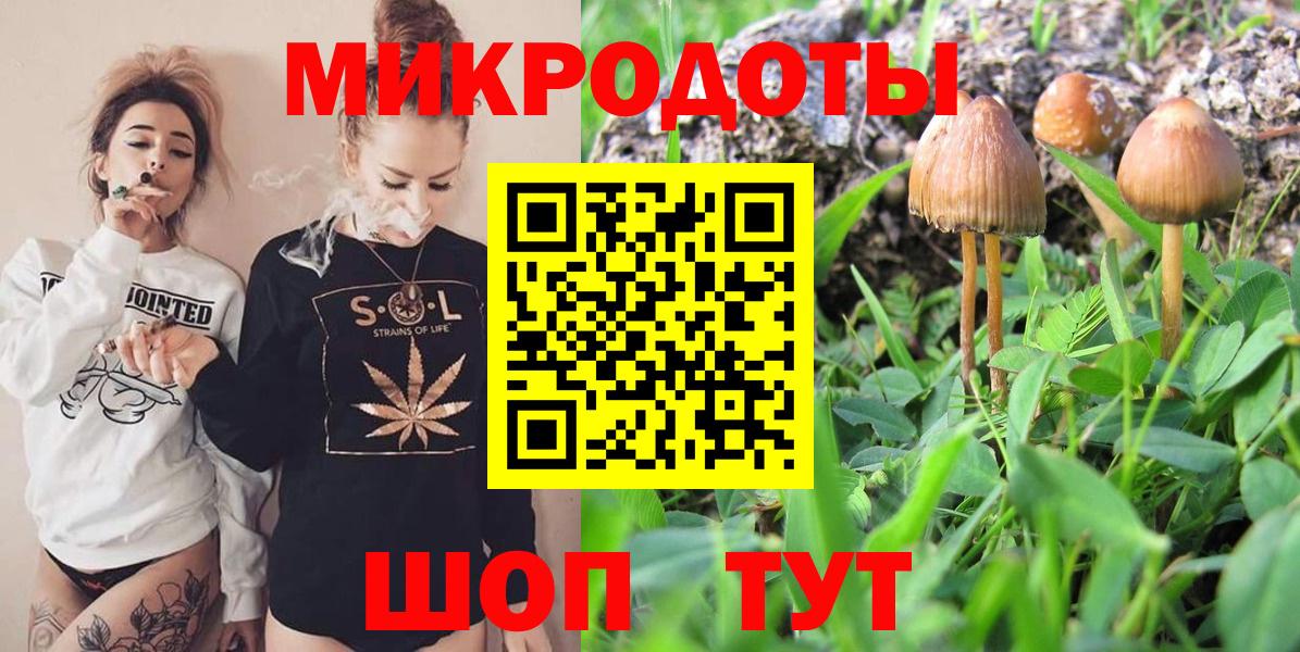 Галлюциногенные грибы мухоморы Мариинск