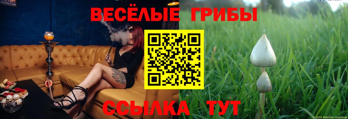 Галлюциногенные грибы GOLDEN TEACHER  Галлюциногенные грибы мухоморы  Мариинск  Вход с VPN 